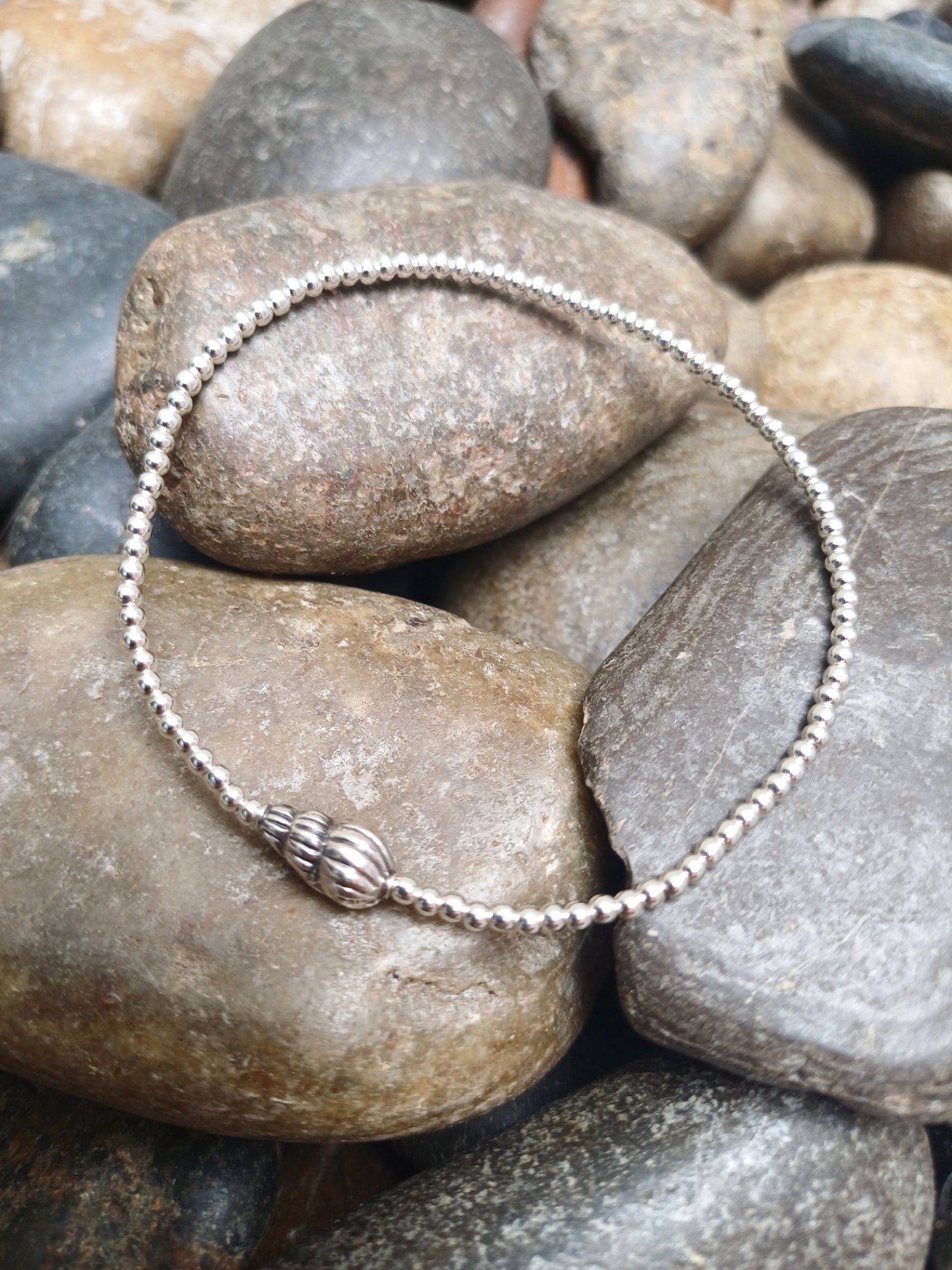 silver shell