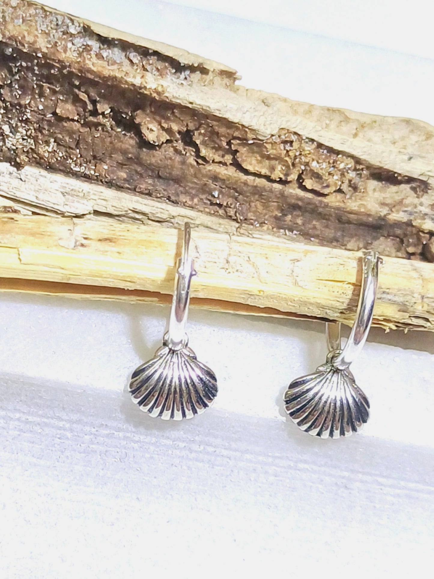 seashell earrings