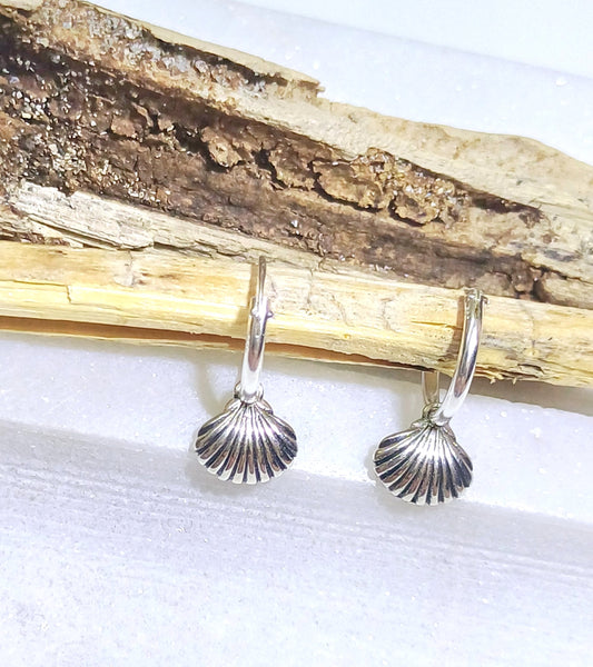 silver shell earrings